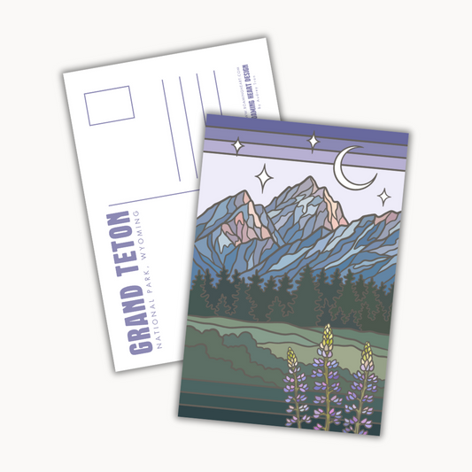 Grand Teton National Park Lupines | Postcard