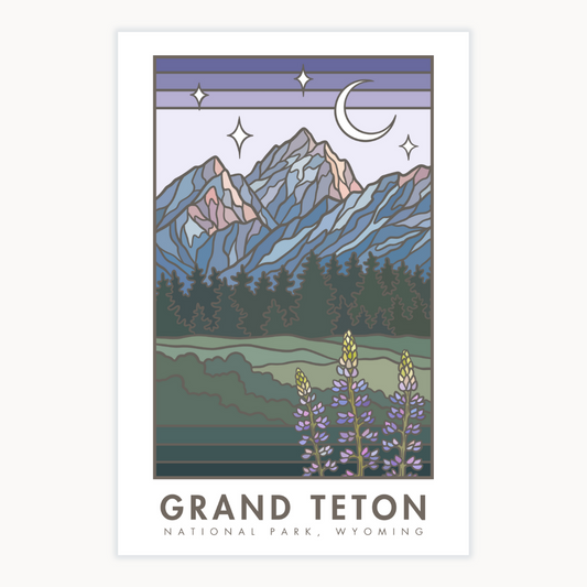 Grand Teton National Park Lupines | Poster