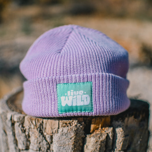 Live Wild | Fisherman Knit Beanie in Lavender